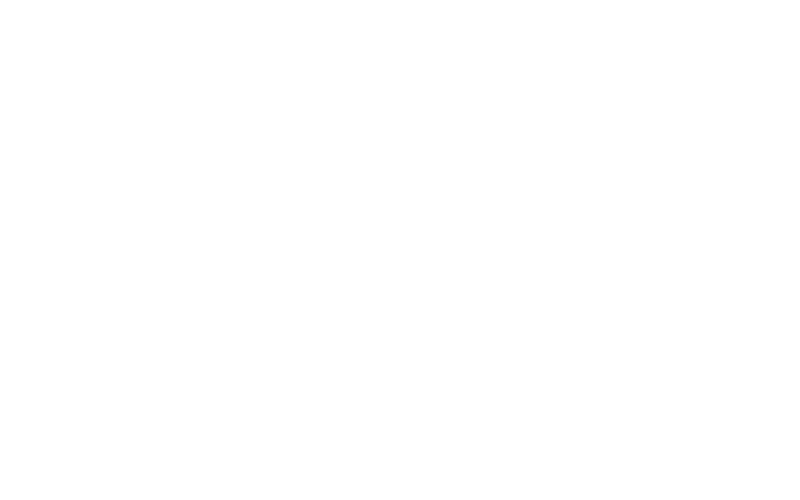 merlo logo