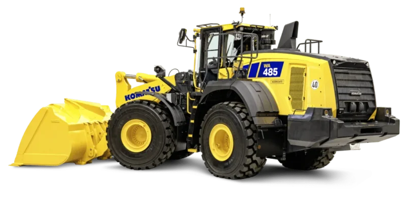 wa485 11 walk 04